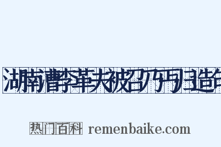 湖南漕李革夫被召乃丐归造句是什么意思的图片